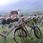 Evia - Ægæiske hav med Hellas holidays