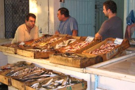 Nyd frisk fisk fra havnen i Aegina