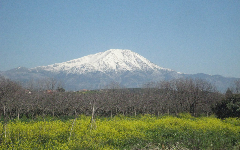 Evia