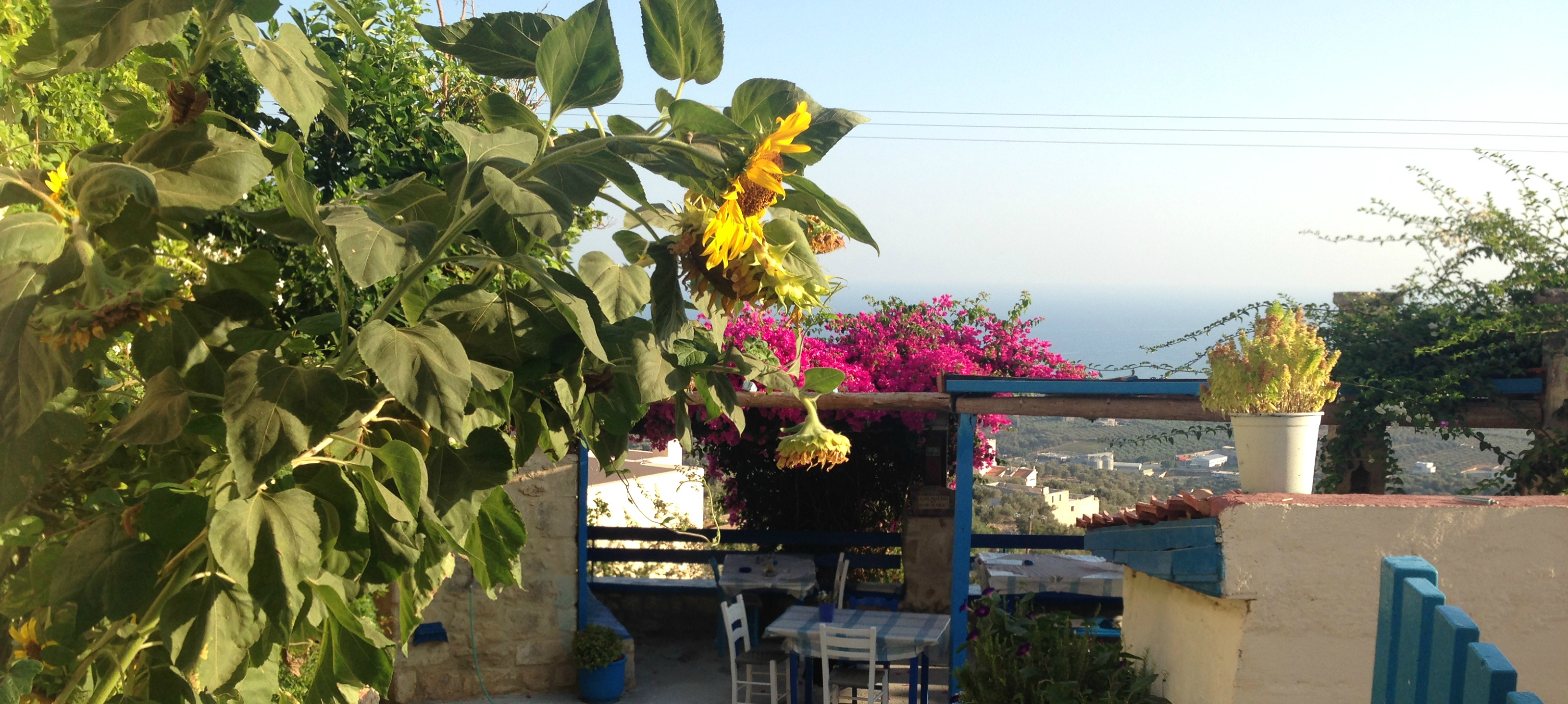 Maroulas på Kreta