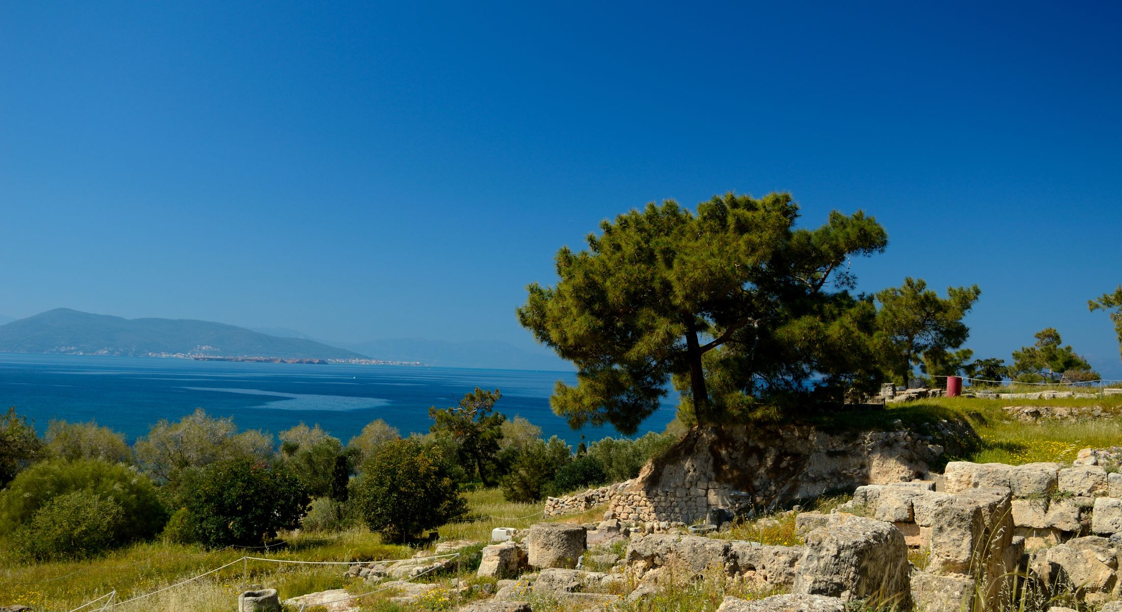 Aegina